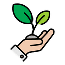 Botany