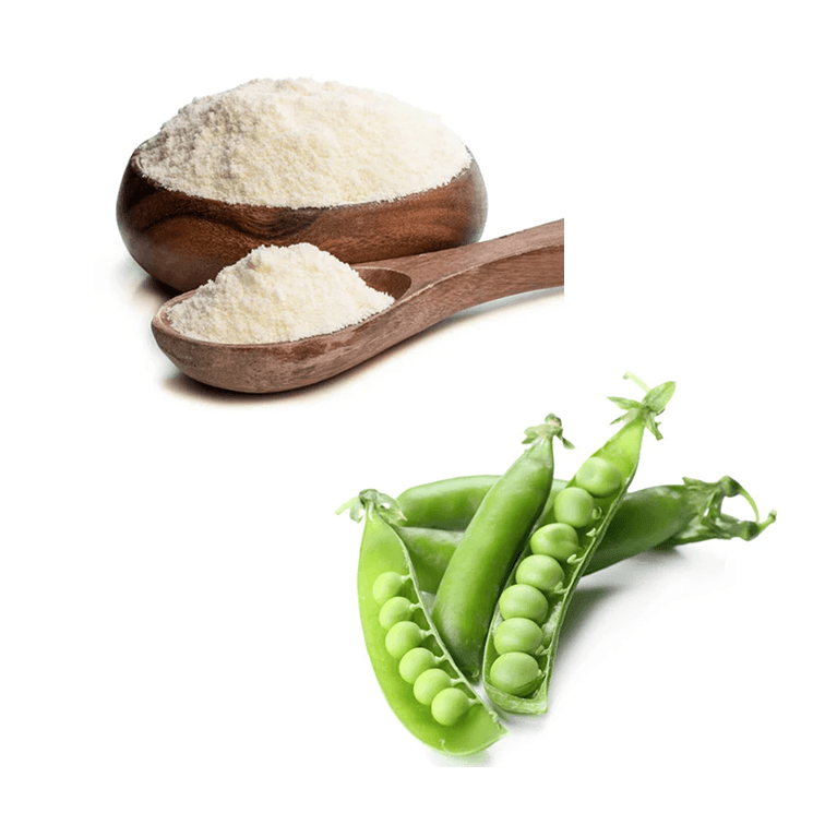 Pea protein