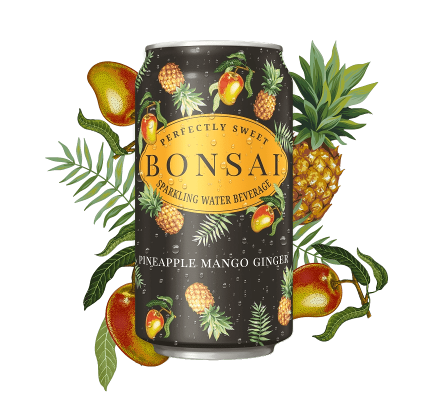 Bonsai Sparkling Water Beverage Pineapple Mango Ginger