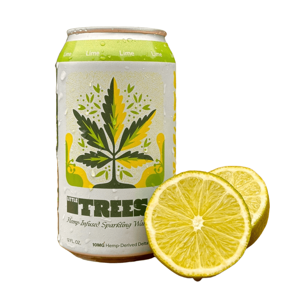 Little Trees Hemp-Infused Sparkling Water Lime can