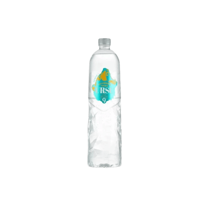 Ursu Natural Mineral Water Plastic Bottle