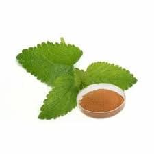 Lemon Balm Extract