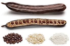 Carob Bean Gum