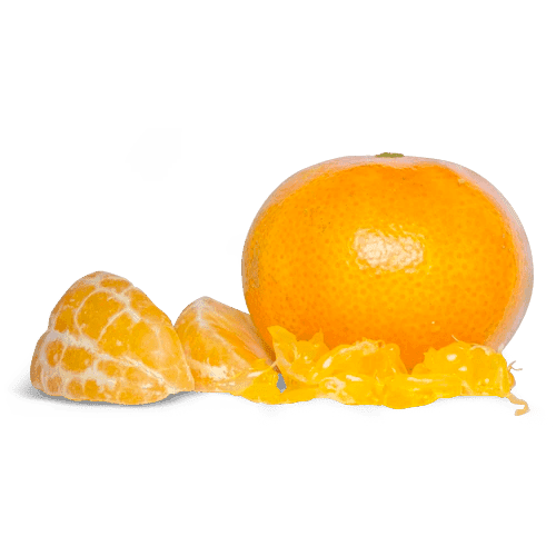 Orange Pulp