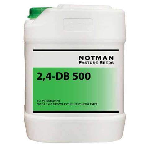 4-(2,4-Dichlorophenoxy)butanoic acid / 2,4 -DB