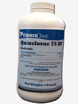 3,7-Dichloro-8-quinolinecarboxylic acid / Quinclorac