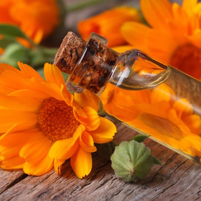 Calendula flower extract