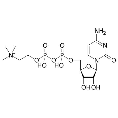 Citicoline