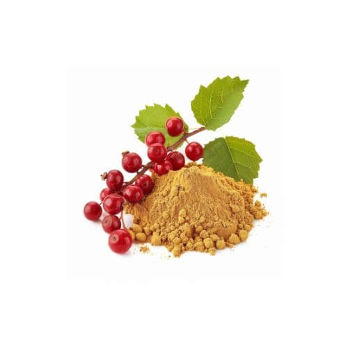 organic schisandra fruit extract