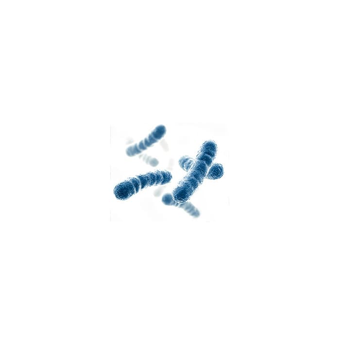 Bacillus coagulans GBI-30 6086