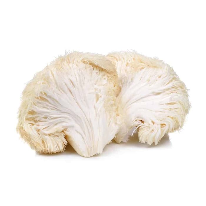 Lion's Mane Extract
