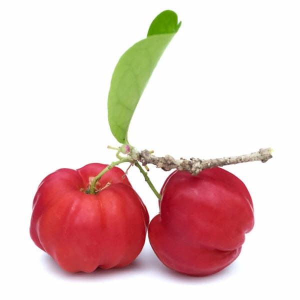 Organic Acerola
