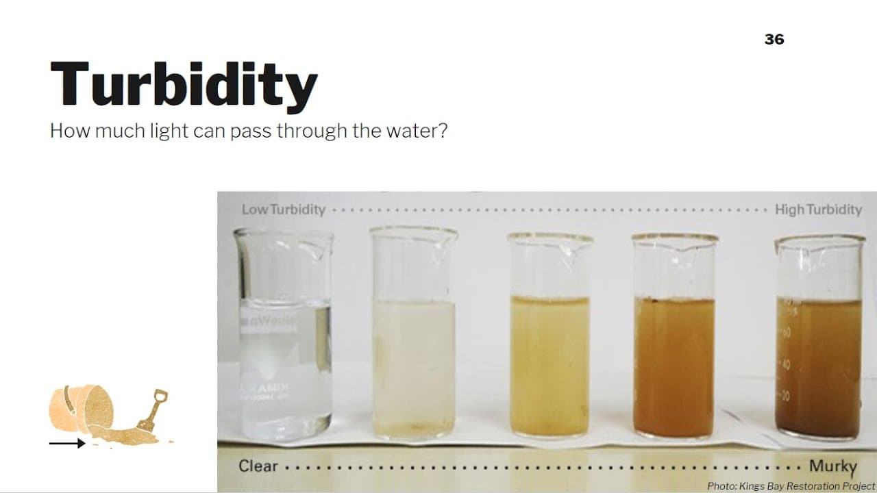 Turbidity